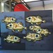 Fish Canvas